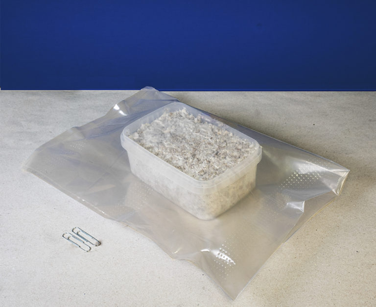 magic-mushrooms_maxkit_006-768x627